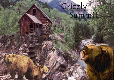Grizzly Summit